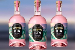 Kopparberg mixed fruit